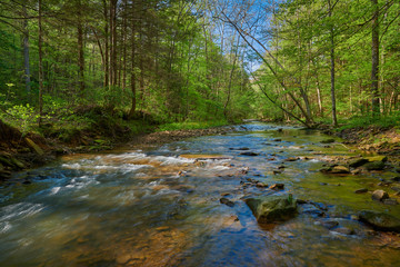 Flowing War Creek in Eastern Kentucky.