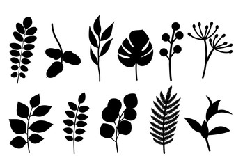 Leaves template, branch template. Branch with buds.  Black silhouette branch and leaves. Set of floral elements.
