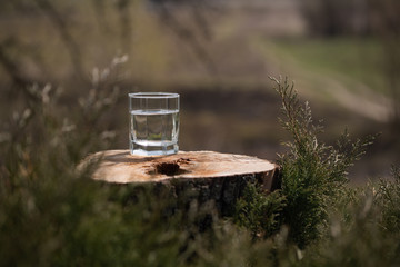 Glass of pure fresh water on the old tree stump. Green nature background.
