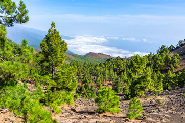 Fototapeta na wymiar Panoramic view from the summits of the Ruta de los Volcanes