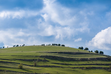 Fototapeta na wymiar Gathering clouds over green meadow at springtime in Transylvania, Romania.