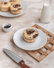 Delicious fresh vanilla muffin with sprinkled cocoa on a light background