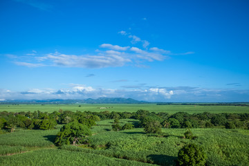 Obraz premium Meadow aerial view landscape with green grass field, cane plantation harvesting, forest and blue sky 
