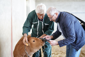 Breeder meeting with financial advisor in barn