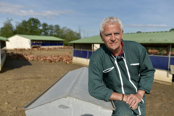 Portrait of farmer in poultry yard