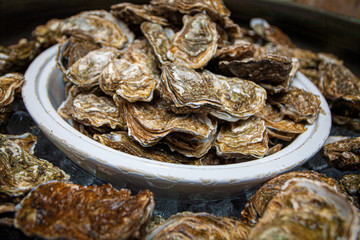 Healthy sea food, fresh Oysters gourmet close-up on white plate served in a restaurant
