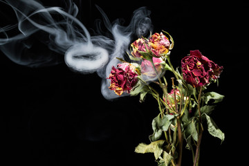 Withered roses in the smoke