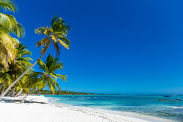 Fototapeta na wymiar Sea Caribbean landscape in Dominican republic with palm trees, sandy beach, green mountains, rocks, blue sky and turquoise water 