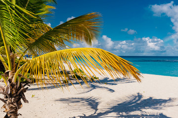Fototapeta na wymiar shoal bay, dream beach in the Caribbean sea with white sand and turquoise sea jewel island of Anguilla