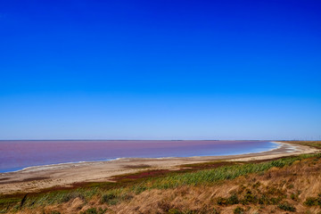 A salt pink lake under the clear blue sky