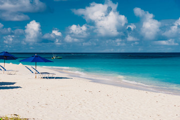 Fototapeta na wymiar shoal bay, dream beach in the Caribbean sea with white sand and turquoise sea jewel island of Anguilla