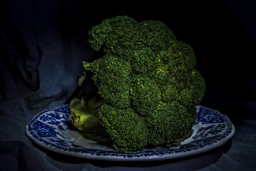 still life of a broccoli on a plate, light painting technique