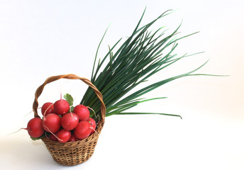 green vegetables and greens for salads radishes and onions on a white background
