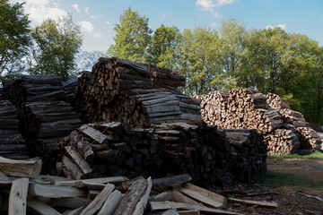 Holzwirtschaft