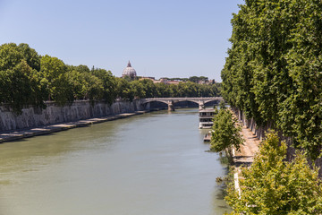 Fototapeta na wymiar bridge and river of the city of Rome