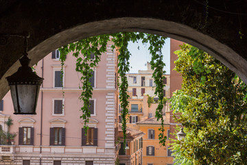 through an arch of the city we see how climbing plants and buildings fall