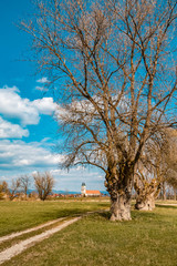 Obraz premium Beautiful view near Thundorf, Danube, Bavaria, Germany with the famous monastery Niederalteich in the background