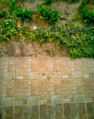 Top view of floor tiles background with grass, dirt and young flowers in spring day background
