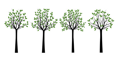 Set Green Trees with Leaves. Vector outline Illustration. Outline Tree, Plant in Garden.