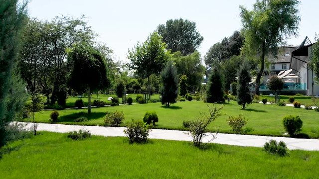 Natural Park in Danube Delta, Romania. Summer Footage. Stock footage flying over. Romania, July 2019