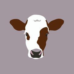 Vector cartoon calf head isolated on grey background. Cow calf. Farm animal. Mammal. Neat head. Easy editable layered. Icon, sign, symbol, eco banner.