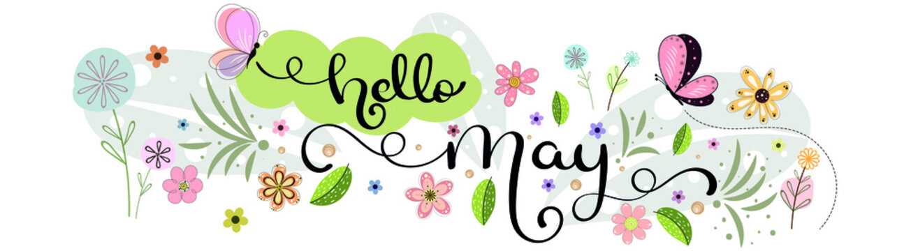Hello May. MAY month vector with flowers, butterflies and leaves. Decoration floral. Illustration month may