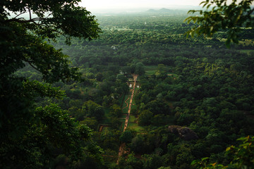 Obraz na płótnie Canvas Sigiriya park, road to Sigiria, Sri Lanka