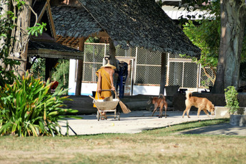 Tajlandia 2018 © Daniel