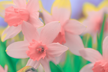 Pink flowers with green leaves. Festive background with flowers. Close-up photo.