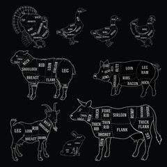 Set of animal butchery vector illustrations in black and white chalk style
