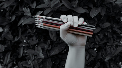 crayons in the palm of a woman