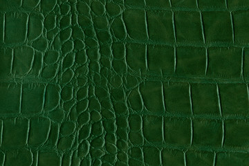 Green alligator or reptile skin of high quality and high resolution. Texture and background of...