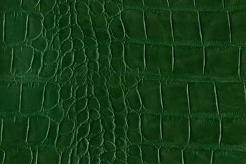Foto auf Acrylglas Green alligator or reptile skin of high quality and high resolution. Texture and background of crocodile or alligator dark green skin in square pattern for wallets, purse, bags and interior design. © Papin_Lab