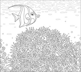 Fototapeta premium Funny striped butterfly fish swimming over fancy corals in water of an amazing reef in a tropical southern sea, black and white outline vector cartoon illustration for a coloring book page