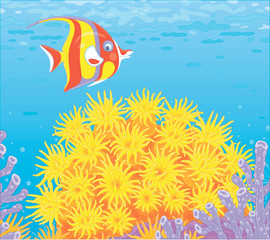 Funny striped butterfly fish swimming over bright colorful corals in blue water of an amazing reef in a tropical sea, vector cartoon illustration