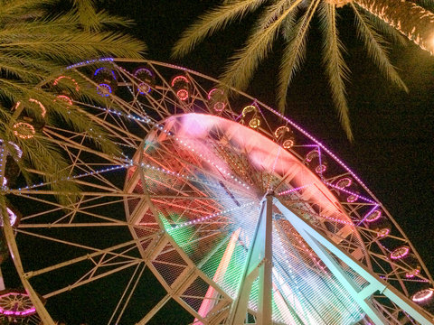 Ferris wheel and palm trees illuminated at night colorful lights glowing