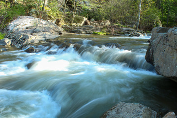 waterfall in the forest