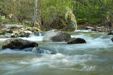 waterfall in the forest