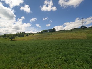 green field and blue sky
