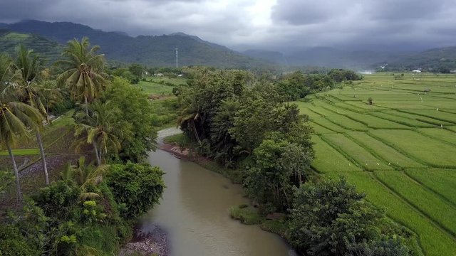 aerial footage by drone Beautiful scenery looks rice fields and rivers, Lombok Indonesia