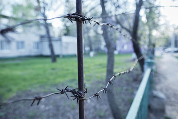 View on isolated rusty old barbed wire.