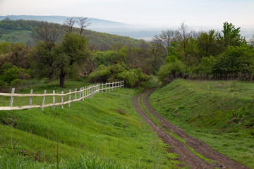 Fototapeta premium Summer rural landscape. Poltava region, Ukraine