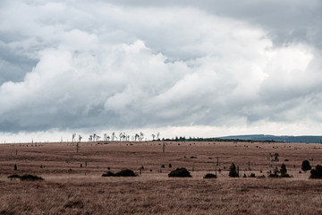 Panorama of the High Fens in autumn, Belgium