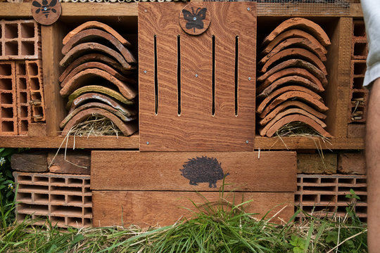 H&ocirc;tel &agrave; insecte et chambre pour h&eacute;risson