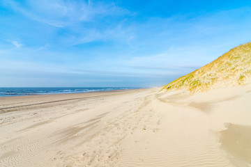 Dunes in the morning sunlight. Grasses grow on the hilltops. In the blue sky, white clouds move to the sea. Beach in the netherlands near the island texel.