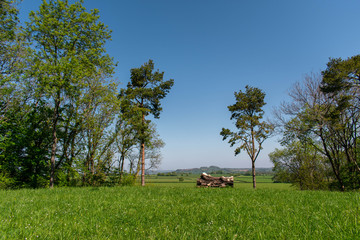 A viewing point with a bench carved from an old fallen tree.  The views are across the countryside...