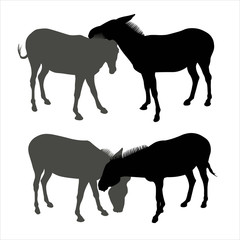 Fototapeta na wymiar Vector silhouette of donkeys with black and gray stroke on a white background. Donkey's love. Friendship between animals. Head of one donkey touches the head of another donkey.