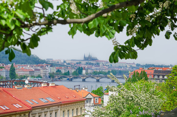 Prague - The panorama of the city with the bridges and the Castel