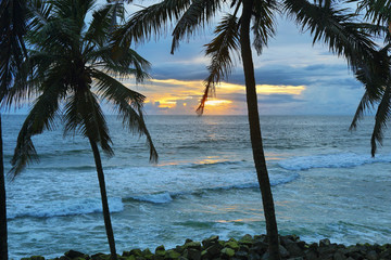 Varkala tropical beach at sunset, Kerala, India