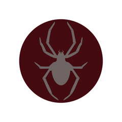 Spider vector icon illustration design